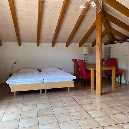 , Rooftop Terrace * 아스꼬나