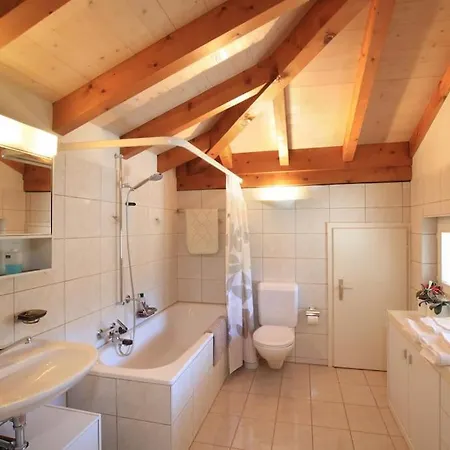 Apartman , Rooftop Terrace Ascona