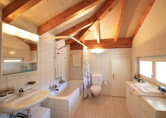 Apartment , Rooftop Terrace Ascona